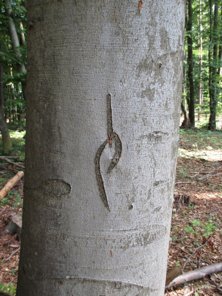 a1